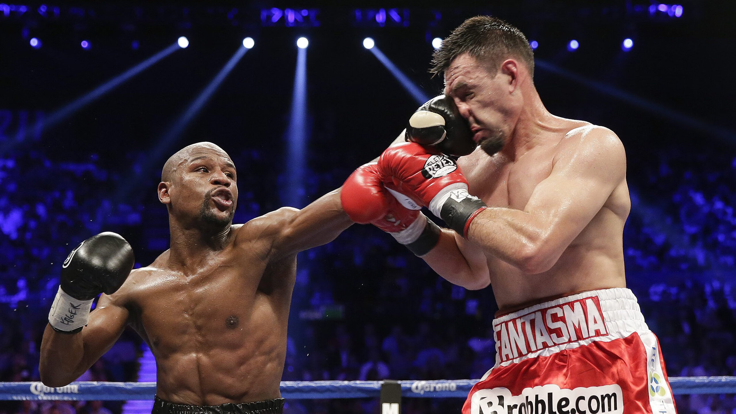 世界拳击赛事多场冠军争夺战备受关注,世界拳击最新比赛